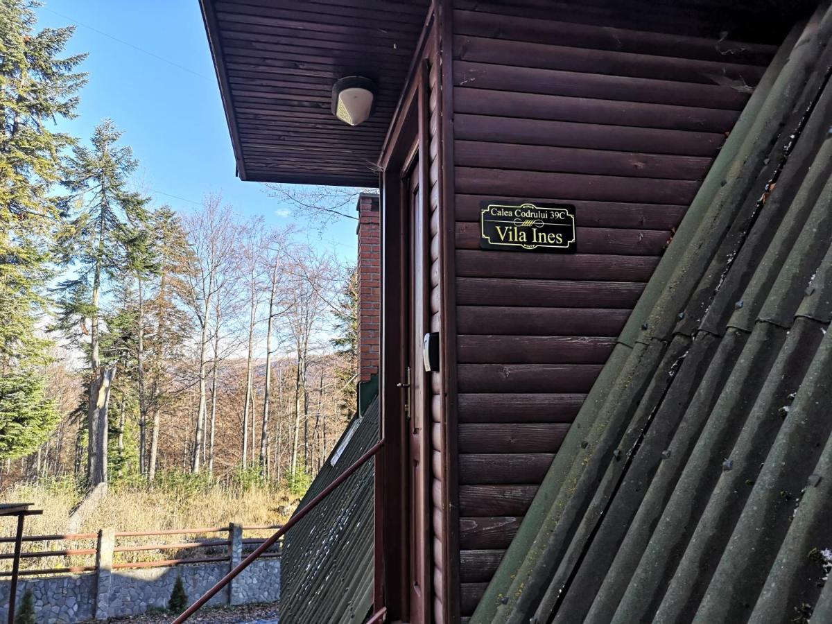 Vila Ines Sinaia Eksteriør bilde