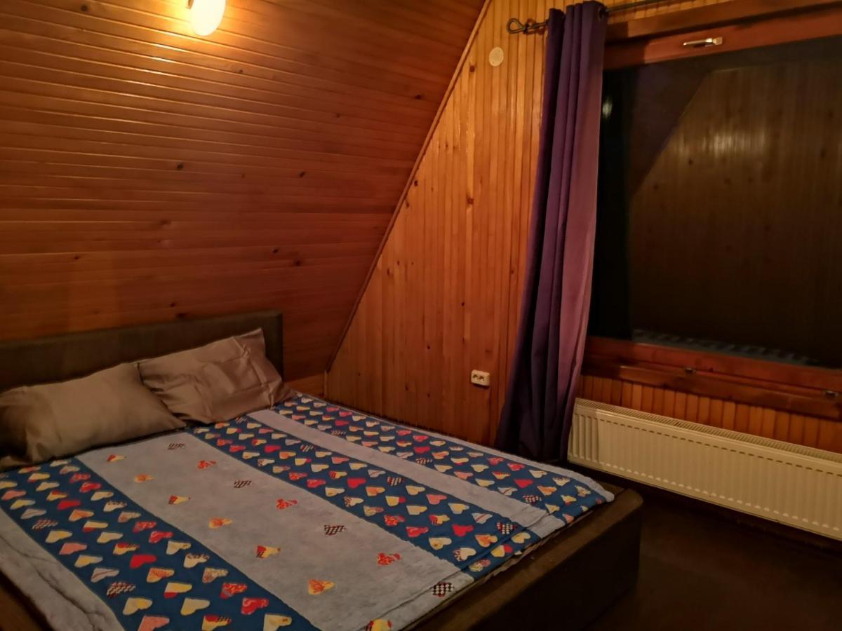Vila Ines Sinaia Eksteriør bilde