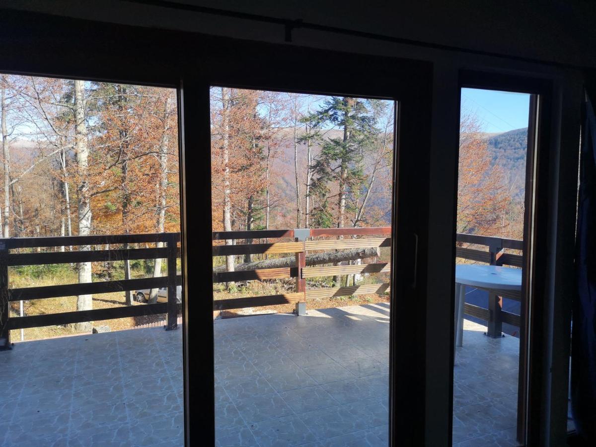 Vila Ines Sinaia Eksteriør bilde