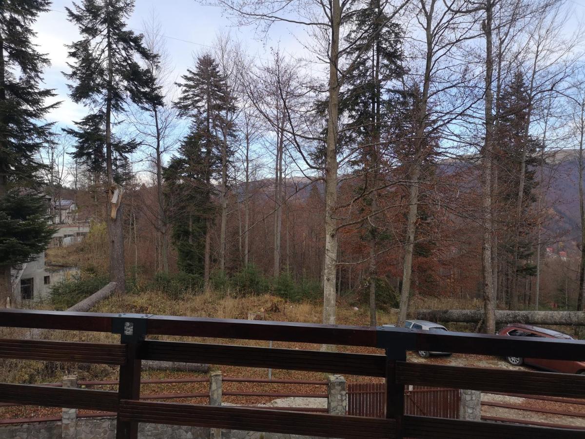Vila Ines Sinaia Eksteriør bilde