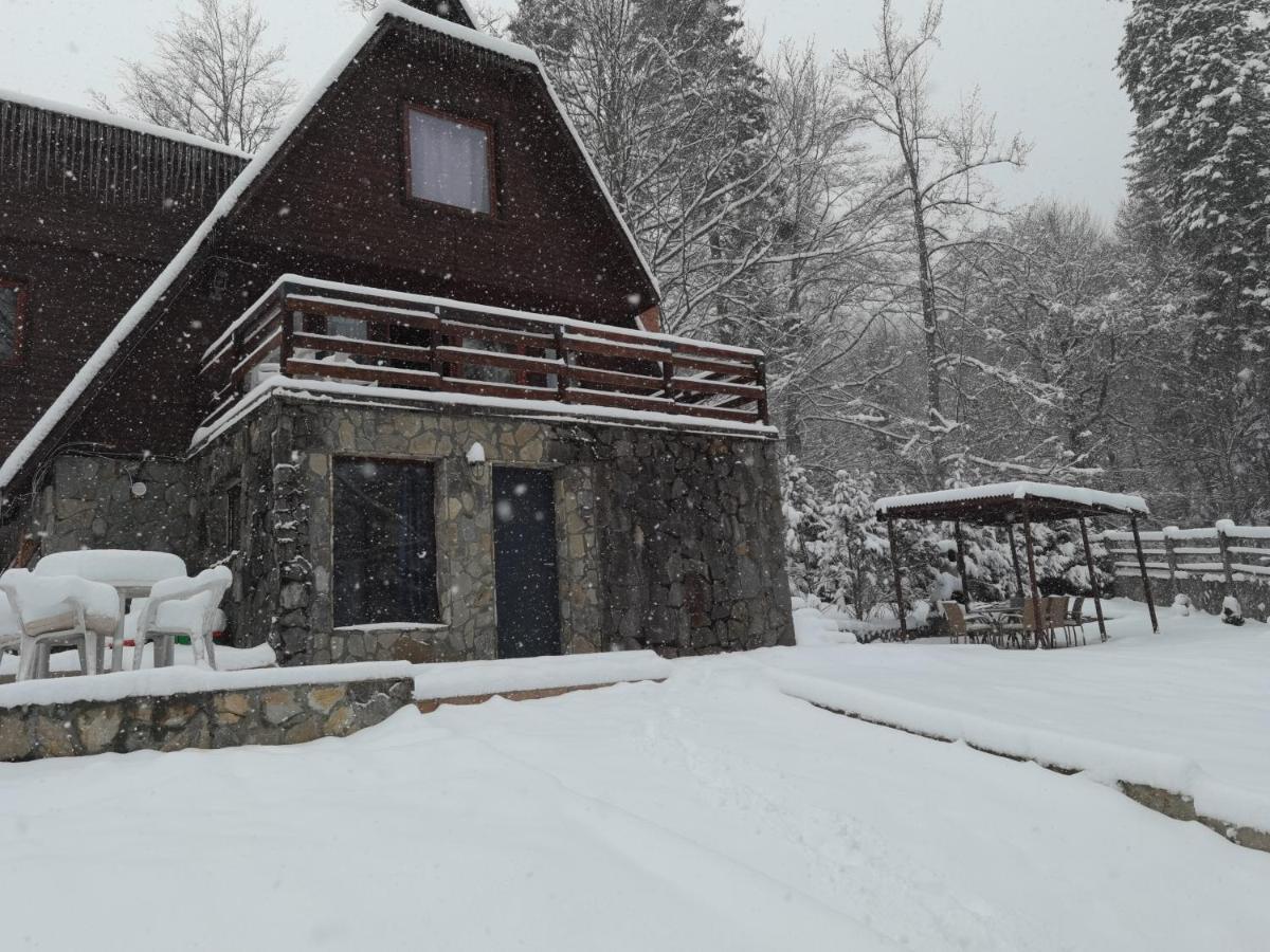 Vila Ines Sinaia Eksteriør bilde